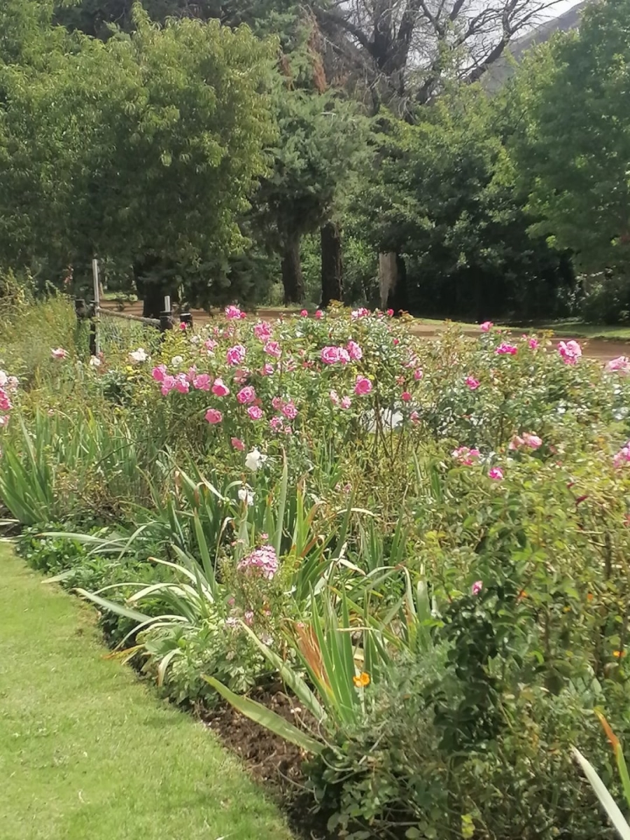 2 Bedroom Property for Sale in Rhodes Eastern Cape